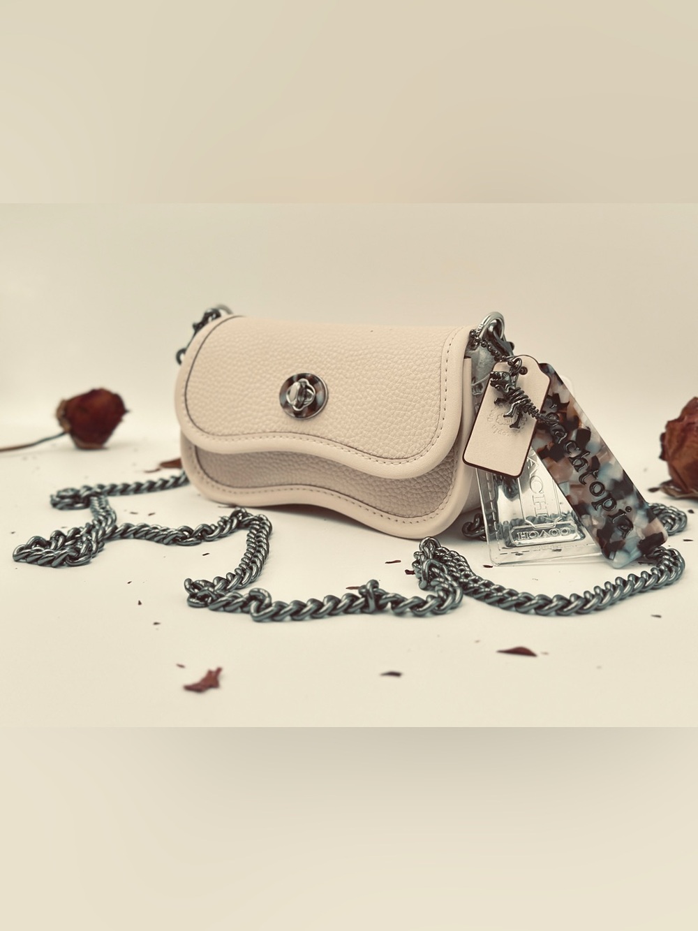 Mini Wavy Dinky Bag In Coachtopia
Leather
Coach Rexy Charm pic included